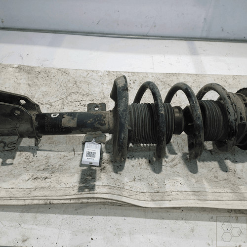 Ammortizzatore ant - sx.,